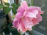 2014-11-07 14.21.31.jpg