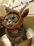 2014-12-25 21.41.30.jpg