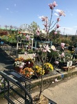 2015-03-23 14.42.58.jpg