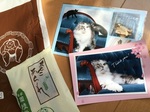 2016-04-22 14.34.20.jpg