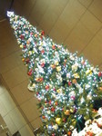 IMGP1244.JPG