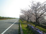 IMGP1736.JPG