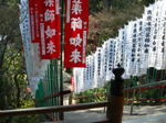 IMGP7419.JPG