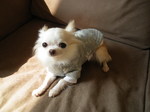 IMGP7447.JPG