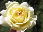 IMG_8610.JPG