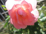 IMG_8611.JPG