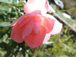 IMG_8612.JPG