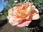IMG_8613.JPG
