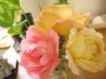 IMG_8618.JPG