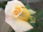 IMG_8639.JPG