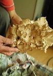 1149784_36794498_1large.jpg
