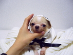 2005-11-15a.jpg