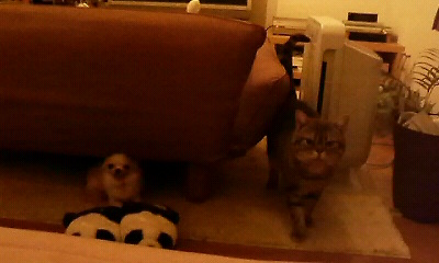 200801240125000.jpg