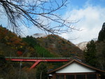 20081123d.jpg