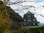 20081123e.jpg