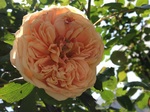 2014-05-02 11.45.58.jpg