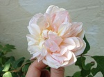 2014-05-02 11.46.47.jpg