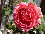 2014-05-12 09.49.24.jpg