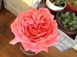 2014-05-13 10.09.39.jpg