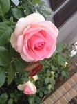 2014-05-20 12.05.47.jpg