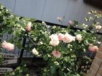 2014-05-29 11.38.35.jpg