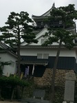 2014-08-15 10.22.13.jpg