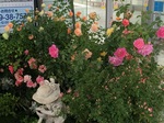 2014-11-08 12.08.16.jpg