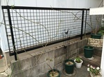2015-01-14 12.40.42.jpg