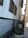 2015-01-18 14.05.48.jpg