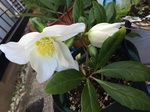 2015-01-18 14.06.09.jpg