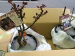 2015-02-21 17.17.34.jpg