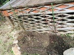 2015-03-18 11.32.13.jpg