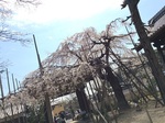 2015-03-28 13.18.40.jpg