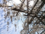 2015-03-28 13.18.55.jpg