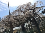 2015-03-28 13.19.07.jpg