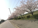 2015-03-31 14.46.03.jpg