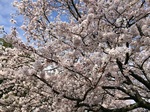 2015-04-02 14.55.31.jpg
