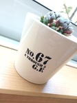 2015-04-15 16.13.35.jpg