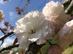 2015-04-17 10.40.31.jpg