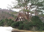 2015-04-17 15.09.01.jpg