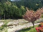 2015-04-26 13.26.14.jpg