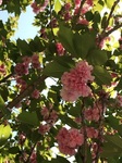 2015-04-30 10.24.59.jpg