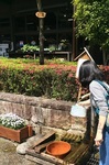 2015-04-30 10.27.45.jpg