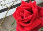 2015-05-06 10.04.25.jpg