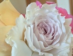 2015-05-10 09.32.24.jpg