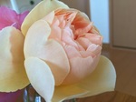 2015-05-10 09.32.37.jpg