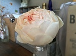 2015-05-18 12.56.06.jpg
