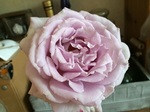 2015-05-22 10.05.26.jpg