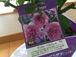 2015-05-23 14.16.13.jpg