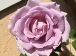 2015-05-24 09.46.22.jpg